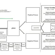 Schéma du protocole micro-PK avec générateur quantique de nombres aléatoires