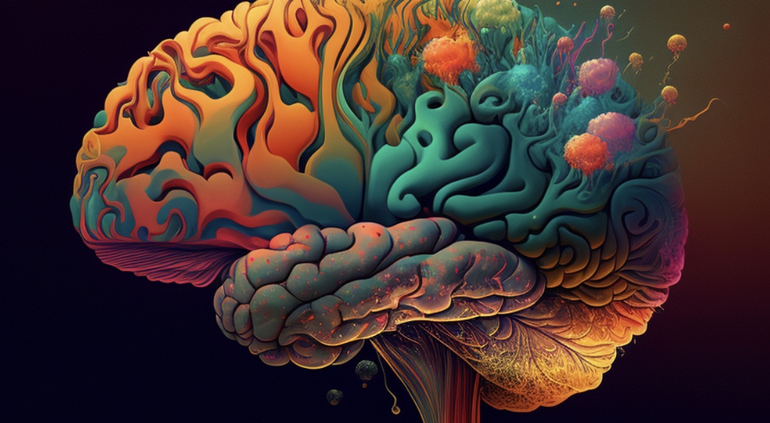Psychédéliques et psychothérapie, conférence de Thomas Rabeyron